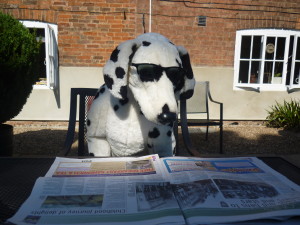 Spot enjoying the newspaper
