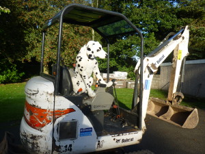Spot helps with construction work