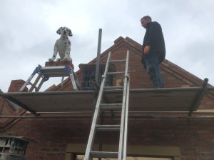 Spot helps the builders on the roof