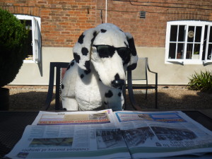 Spot is reading the newspaper in the garden