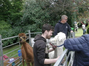 OLYMPUS DIGITAL CAMERA