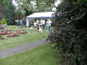 OLYMPUS DIGITAL CAMERA