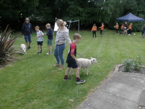 OLYMPUS DIGITAL CAMERA